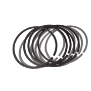 Snap ring